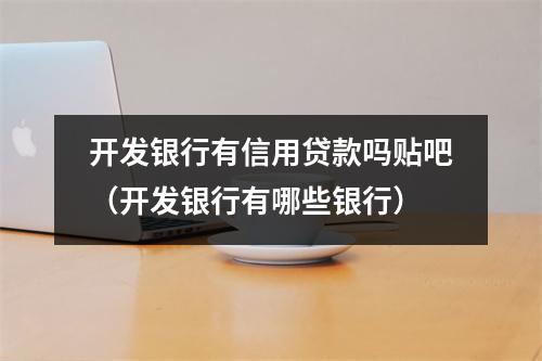 开发银行有信用贷款吗贴吧（开发银行有哪些银行）