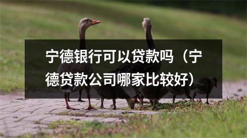 宁德银行可以贷款吗（宁德贷款公司哪家比较好）