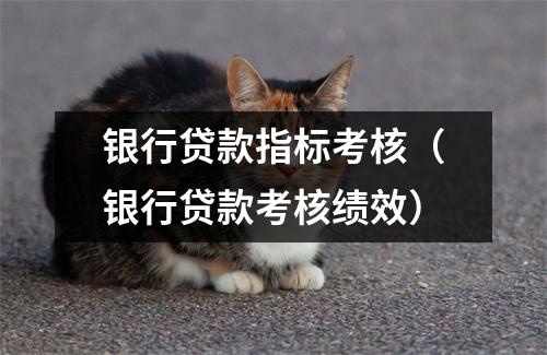 银行贷款指标考核（银行贷款考核绩效）
