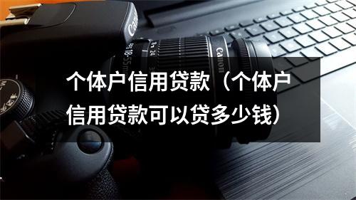 个体户信用贷款（个体户信用贷款可以贷多少钱）