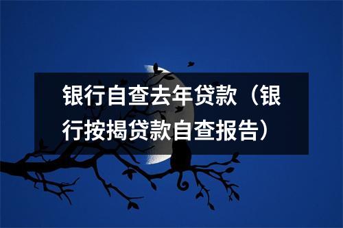 银行自查去年贷款（银行按揭贷款自查报告）