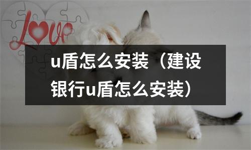u盾怎么安装（建设银行u盾怎么安装）