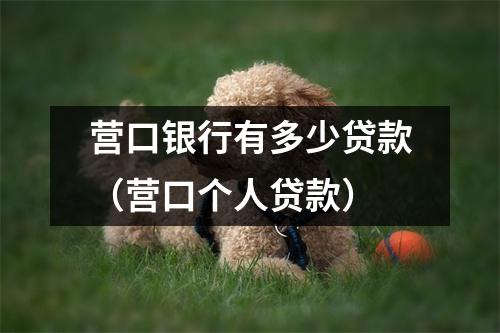 营口银行有多少贷款（营口个人贷款）