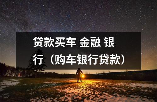 贷款买车 金融 银行（购车银行贷款）