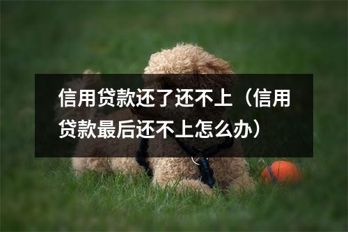 信用贷款还了还不上（信用贷款最后还不上怎么办）