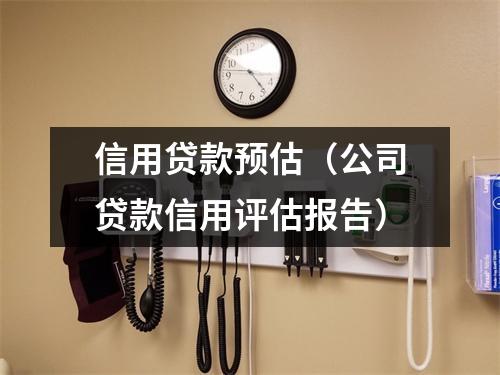 信用贷款预估(公司贷款信用评估报告)