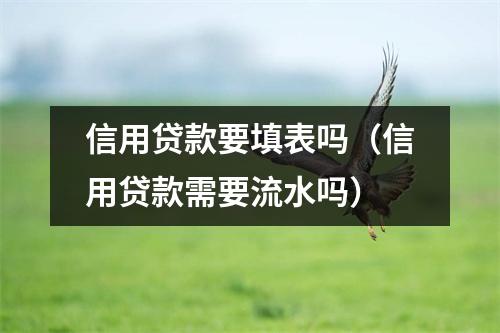 信用贷款要填表吗（信用贷款需要流水吗）