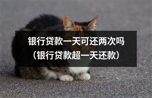银行贷款一天可还两次吗（银行贷款超一天还款）