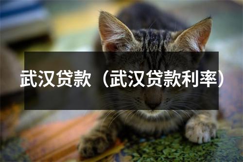 武汉贷款（武汉贷款利率）