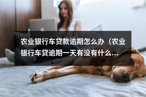农业银行车贷款逾期怎么办（农业银行车贷逾期一天有没有什么影响）