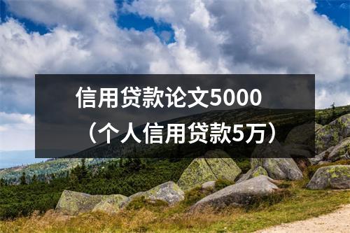 信用贷款论文5000(个人信用贷款5万)