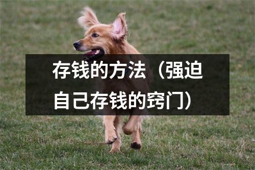 存钱的方法（强迫自己存钱的窍门）