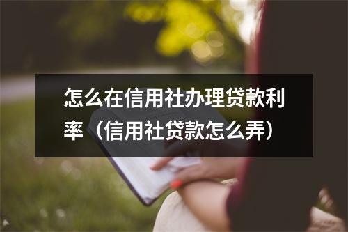 怎么在信用社办理贷款利率（信用社贷款怎么弄）
