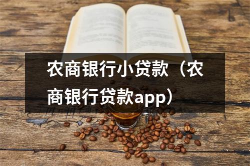 农商银行小贷款（农商银行贷款app）