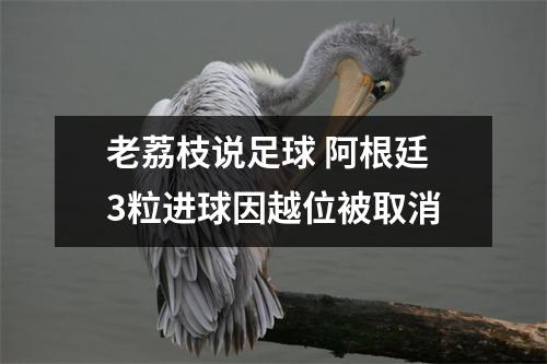 老荔枝说足球 阿根廷3粒进球因越位被取消