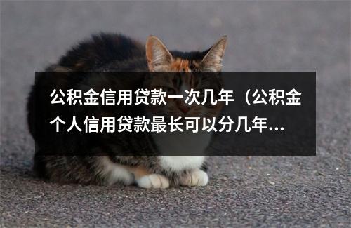 公积金信用贷款一次几年（公积金个人信用贷款最长可以分几年）