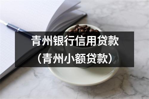 青州银行信用贷款（青州小额贷款）