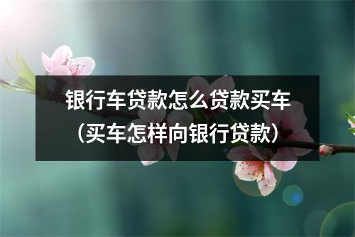 银行车贷款怎么贷款买车（买车怎样向银行贷款）