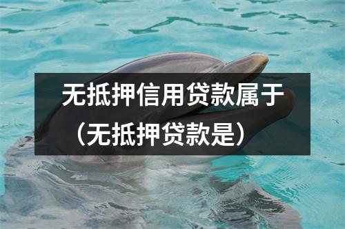 无抵押信用贷款属于（无抵押贷款是）