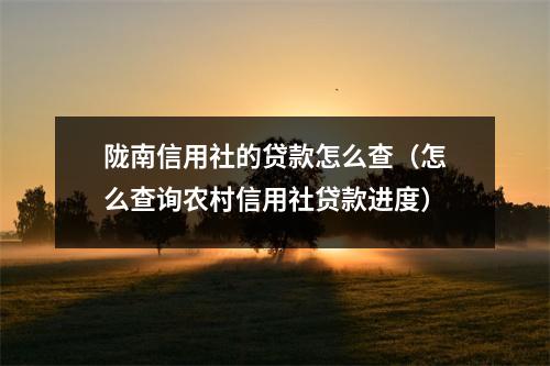 陇南信用社的贷款怎么查（怎么查询农村信用社贷款进度）