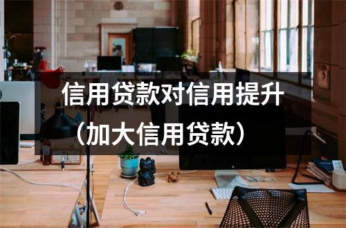 信用贷款对信用提升（加大信用贷款）