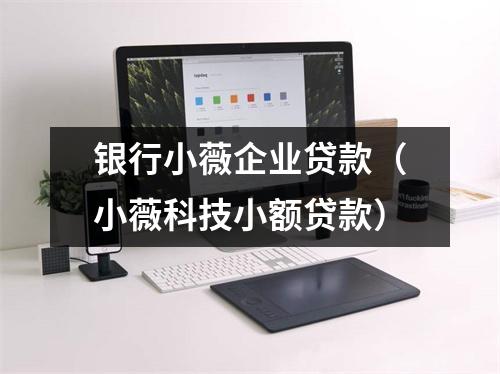 银行小薇企业贷款（小薇科技小额贷款）