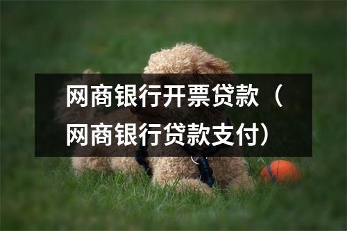 网商银行开票贷款（网商银行贷款支付）