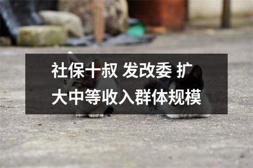 社保十叔 发改委 扩大中等收入群体规模