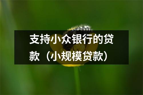 支持小众银行的贷款（小规模贷款）