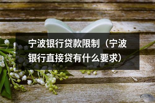 宁波银行贷款限制（宁波银行直接贷有什么要求）