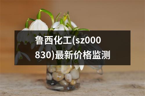 鲁西化工(sz000830)最新价格监测