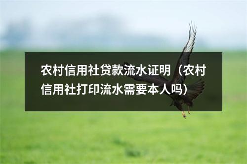 农村信用社贷款流水证明（农村信用社打印流水需要本人吗）