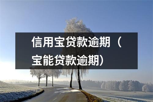 信用宝贷款逾期（宝能贷款逾期）