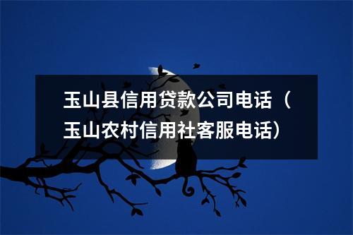 玉山县信用贷款公司电话（玉山农村信用社客服电话）