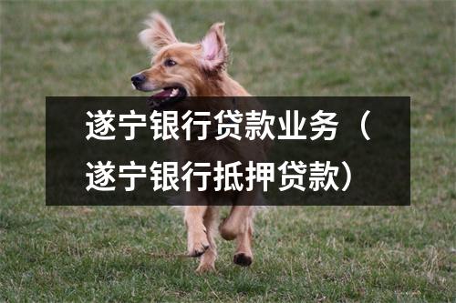 遂宁银行贷款业务(遂宁银行抵押贷款)