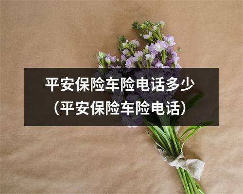 平安保险车险电话多少 （平安保险车险电话）