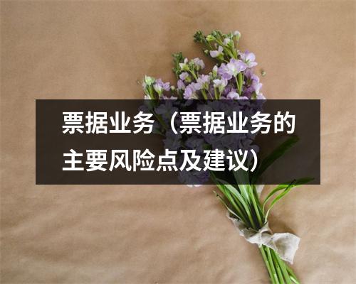 票据业务(票据业务的主要风险点及建议)