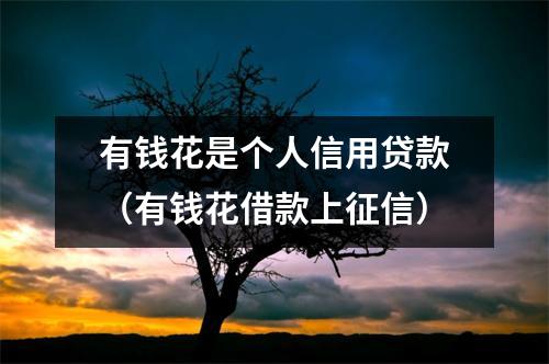 有钱花是个人信用贷款（有钱花借款上征信）