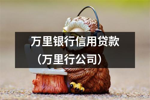 万里银行信用贷款（万里行公司）