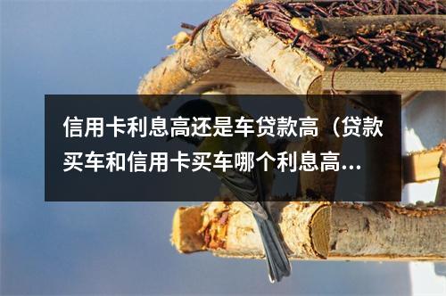 信用卡利息高还是车贷款高（贷款买车和信用卡买车哪个利息高）