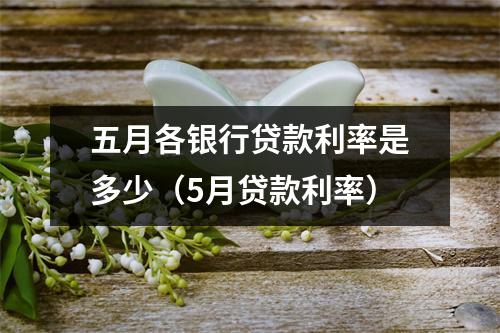 五月各银行贷款利率是多少(5月贷款利率)