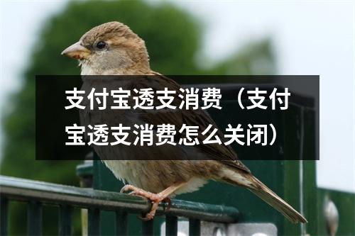 支付宝透支消费(支付宝透支消费怎么关闭)