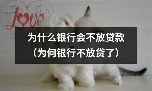 为什么银行会不放贷款（为何银行不放贷了）