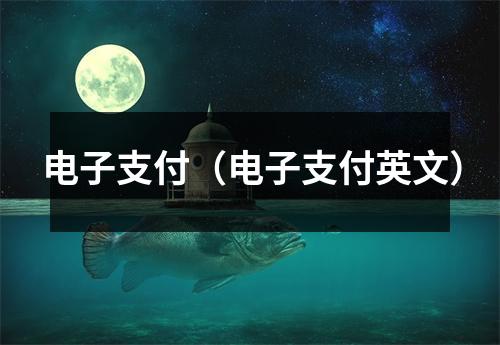 电子支付(电子支付英文)