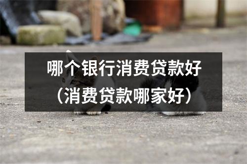 哪个银行消费贷款好（消费贷款哪家好）
