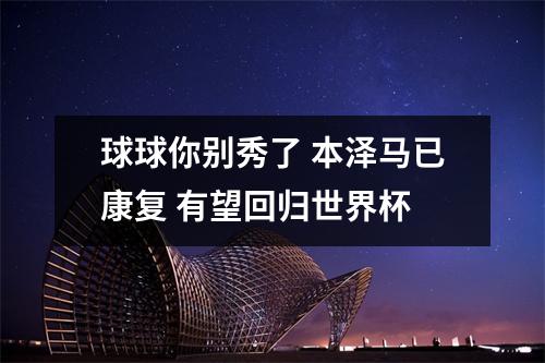 球球你别秀了 本泽马已康复 有望回归世界杯