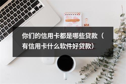 你们的信用卡都是哪些贷款（有信用卡什么软件好贷款）