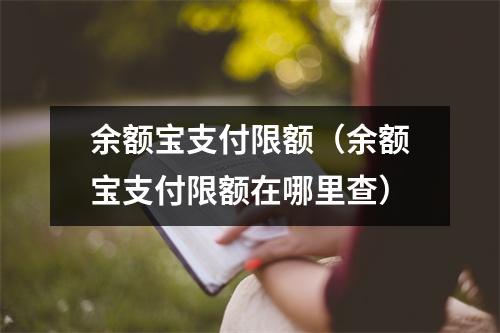 余额宝支付限额（余额宝支付限额在哪里查）