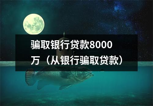 骗取银行贷款8000万（从银行骗取贷款）