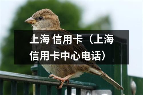 上海 信用卡(上海信用卡中心电话)